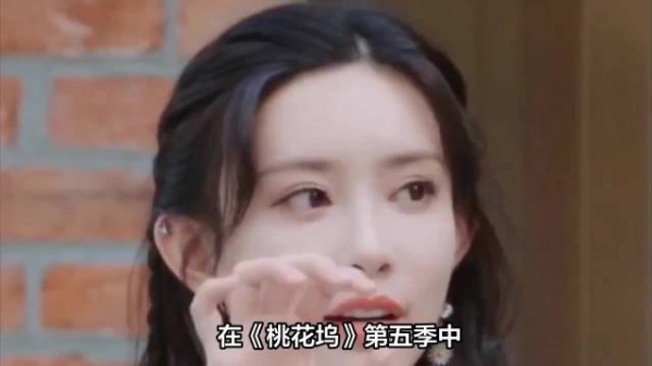 孟子义采访不看提纲追求真实,桃花坞展现钝感力社交