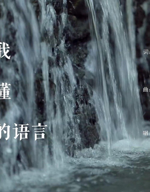 让我听懂你的语言
