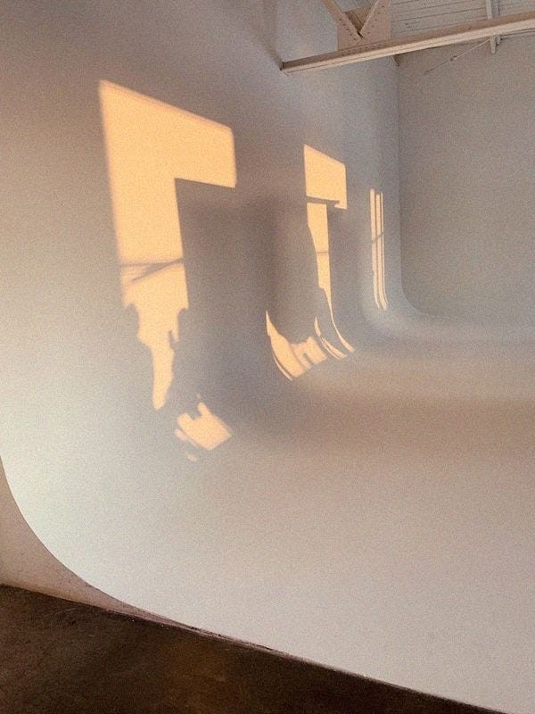 shadows cast by windows on a curved white wall in an interior space