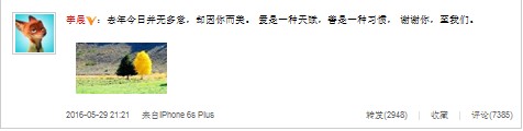 李晨晒夫妻树被追问是“夫妻”吗？