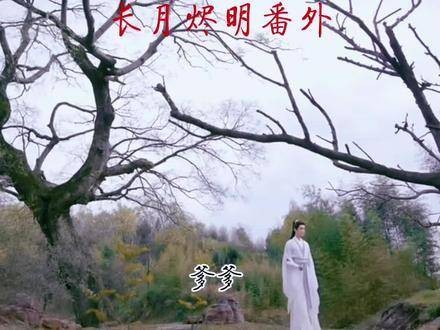 我亲手剪辑的番外篇 一家三口的温馨日常