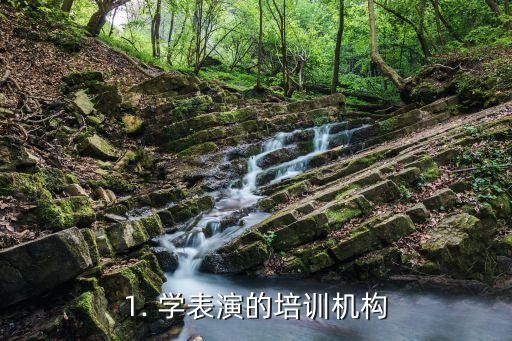 1. 学表演的培训机构