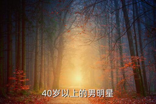 40岁以上韩国老男演员排行榜，40岁以上的男明星