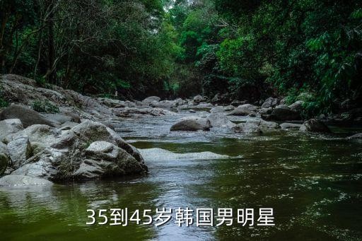 35到45岁韩国男明星