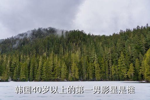 韩国40岁以上的第一男影星是谁