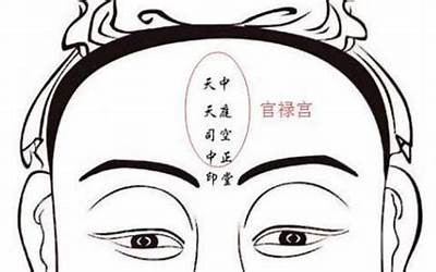 八字身旺的明星(什么明星八字最旺)