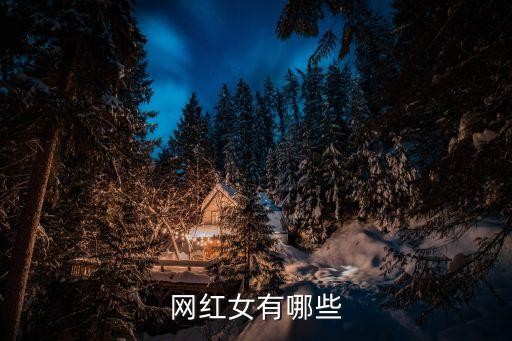 网红女有哪些