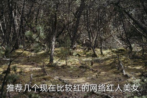 推荐几个现在比较红的网络红人美女