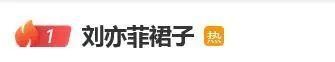 刘亦菲 优雅亮相白玉兰提名晚宴