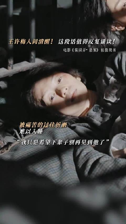 无论开头怎样,反正结果就那样,《酱园弄悬案》
