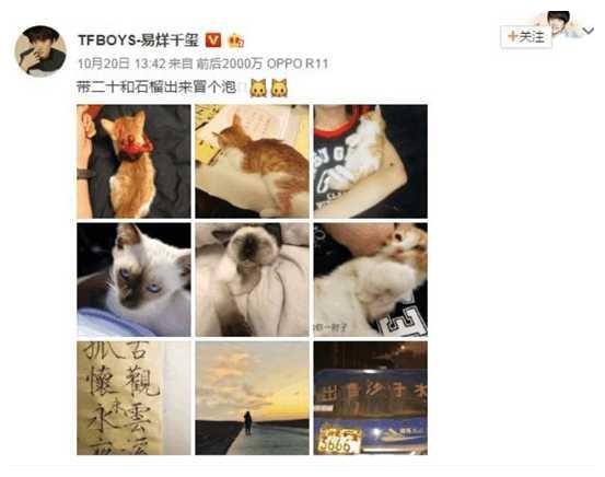 易烊千玺新宠的名字二十和石榴好新颖, 还不知道他有这个爱好