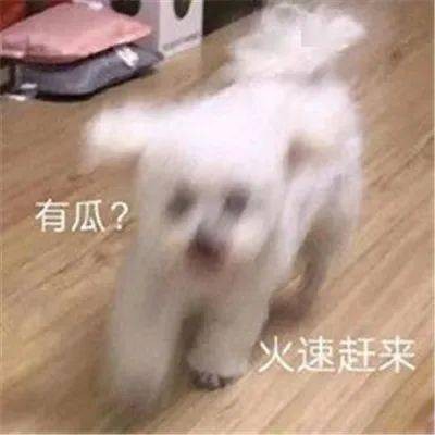 娱乐圈吃瓜聊天记录图片,揭秘明星私下真实一面