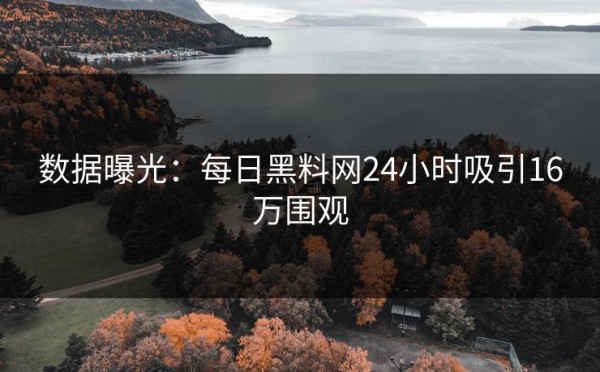 数据曝光：每日黑料网24小时吸引16万围观