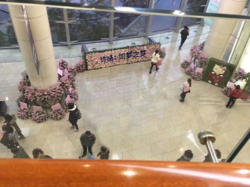 为你揭秘明星粉丝团那些事