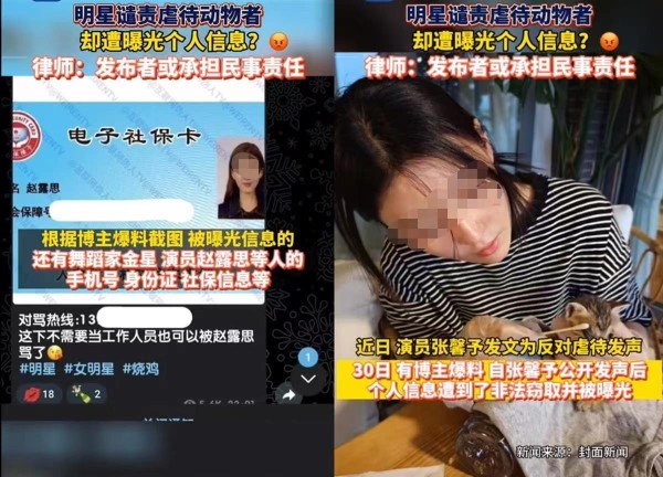 明星谴责虐待动物者却遭曝光个人信息，作恶者何以如此嚣张？