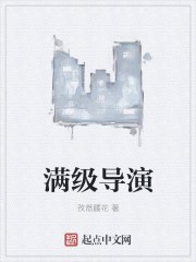 满级导演封面