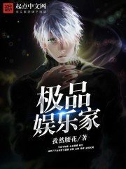 极品娱乐家封面