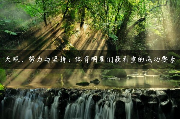 天赋、努力与坚持：体育明星们最看重的成功要素