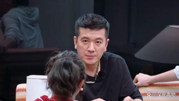 《杨子直言麦琳任性：综艺背后的情感涟漪与警示》