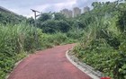 重庆一小区居民为赶地铁自发修路？当地回应