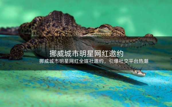 挪威城市明星网红全媒社邀约，引爆社交平台热潮