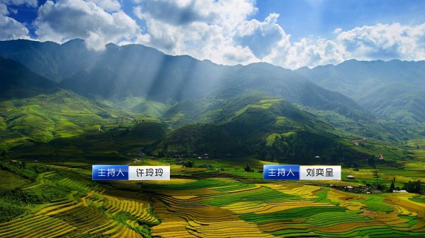 企业处理舆情的重要性