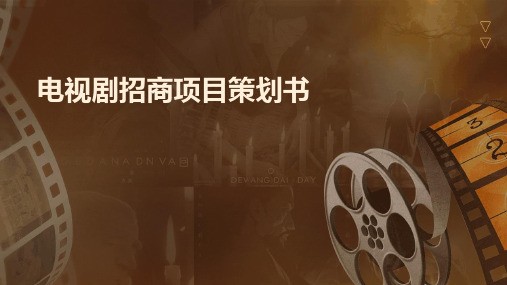 电视剧招商项目策划书PPT