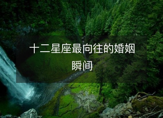 十二星座最向往的婚姻瞬间