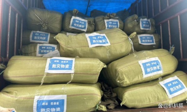 杨幂：以爱之名，筑公益长城，这才是明星该有的样子！