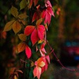 记忆碎片12345