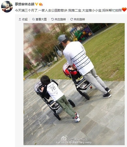 林志颖微博截图