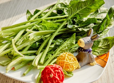 深绿色蔬菜(如菠菜、羽衣甘蓝)、红橙色水果(如番茄、甜椒)、蓝莓等富含抗氧化剂，如维生素C、维生素E和β-胡萝卜素