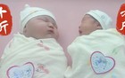 生了！10斤2两，和姚明出生时体重差不多