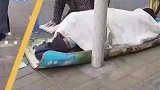 都是好演员!