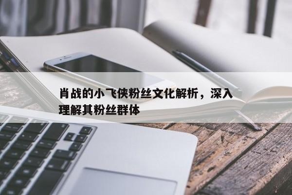 肖战的小飞侠粉丝文化解析，深入理解其粉丝群体