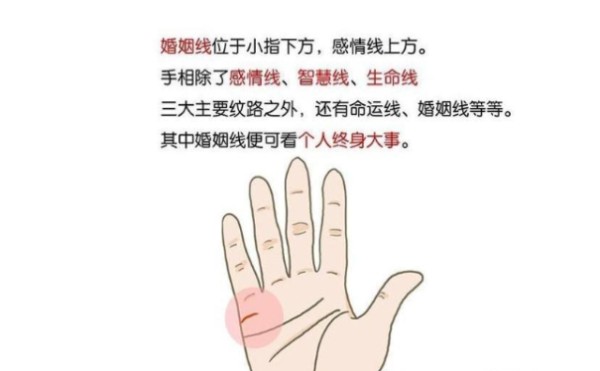 婚姻线图解大全 看你的婚姻情况