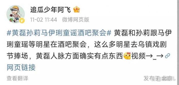 黄磊和孙莉带着马伊琍、童瑶等明星好友去酒吧聚会