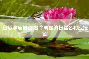 白敬亭应援色(各个明星的粉丝名和应援色)