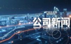 突发利空！002581，将被ST