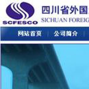 四川省外国企业服务有限责任公司