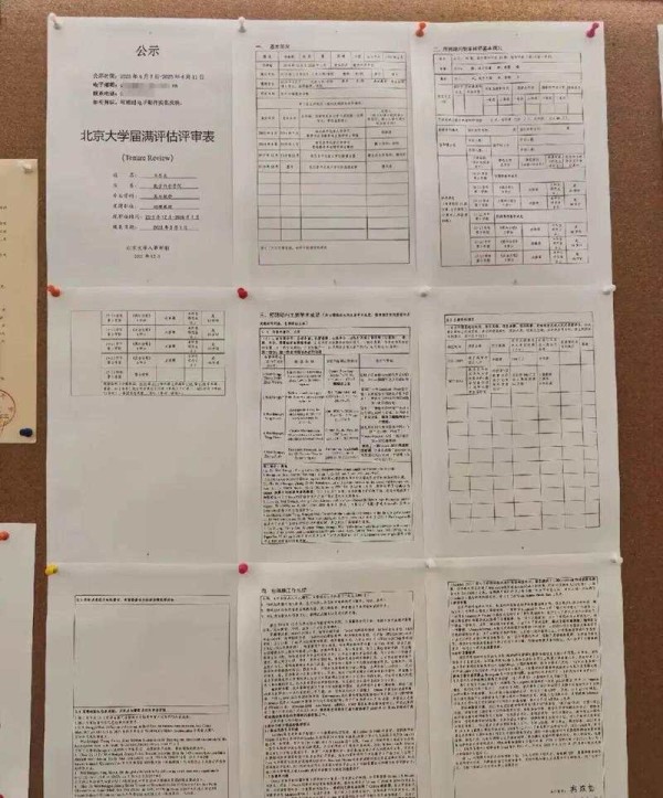 北京大学评审表及相关评估资料展示