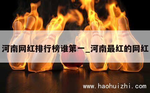 河南网红排行榜谁第一_河南最红的网红 第1张