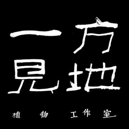 一方见地