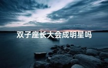 双子座长大会成明星吗