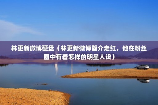 林更新微博硬盘（林更新微博简介走红，他在粉丝圈中有着怎样的明星人设）