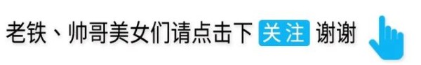 海贼王主题婚礼现场，尾田荣一郎策划，路飞被娜美的橘子树暖到