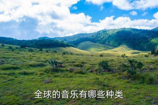 全球的音乐有哪些种类