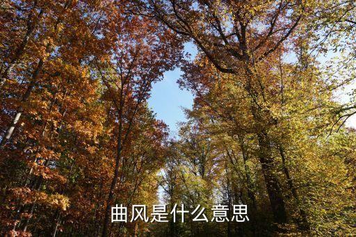  曲风是什么意思