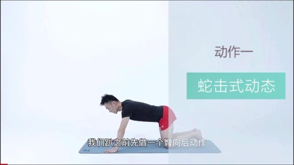 21天明星同款减脂塑形训练：告别赘肉，练出完美身材