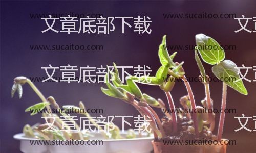 据透露，两对明星领证结婚。一对夫妇得到了网友的衷心祝福，另一对夫妇则被打死，不相信。